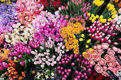 传育碧开发社交模拟游戏 玩法为《动物森友会》+《我的世界》