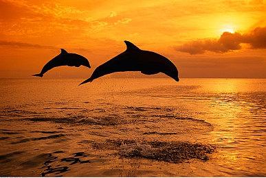 经典格斗游戏《真人快打三部曲》上线GOG平台